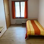 Hotel Du Gd-st-bernard *