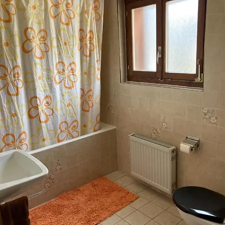 Hotel Du Gd-st-bernard Liddes