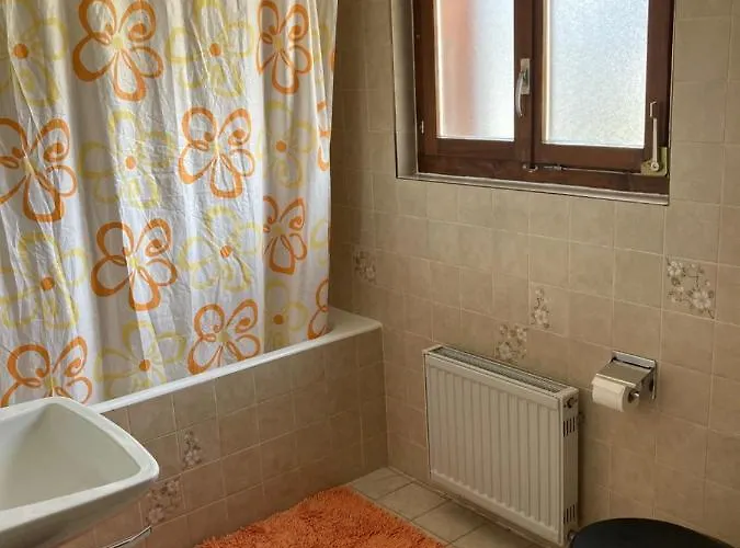 فندق Du Gd-st-bernard Liddes